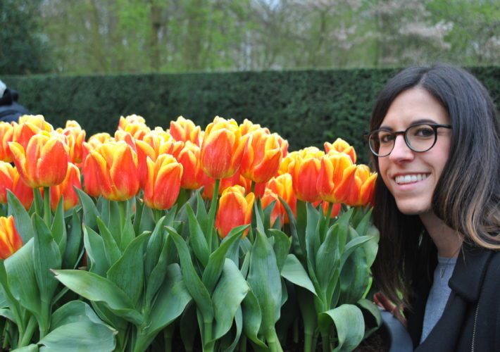 Keukenhof - il parco dei tulipani