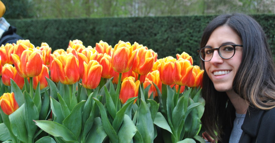 Keukenhof - il parco dei tulipani