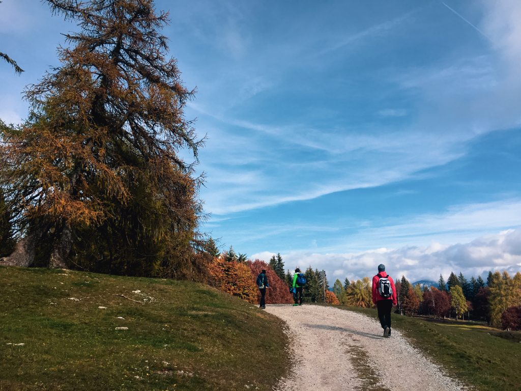 Malga d'Arza - Cunevo