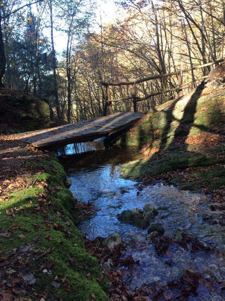 Tre escursioni autunnali da fare in Trentino: Sentiero Acqua e Faggi