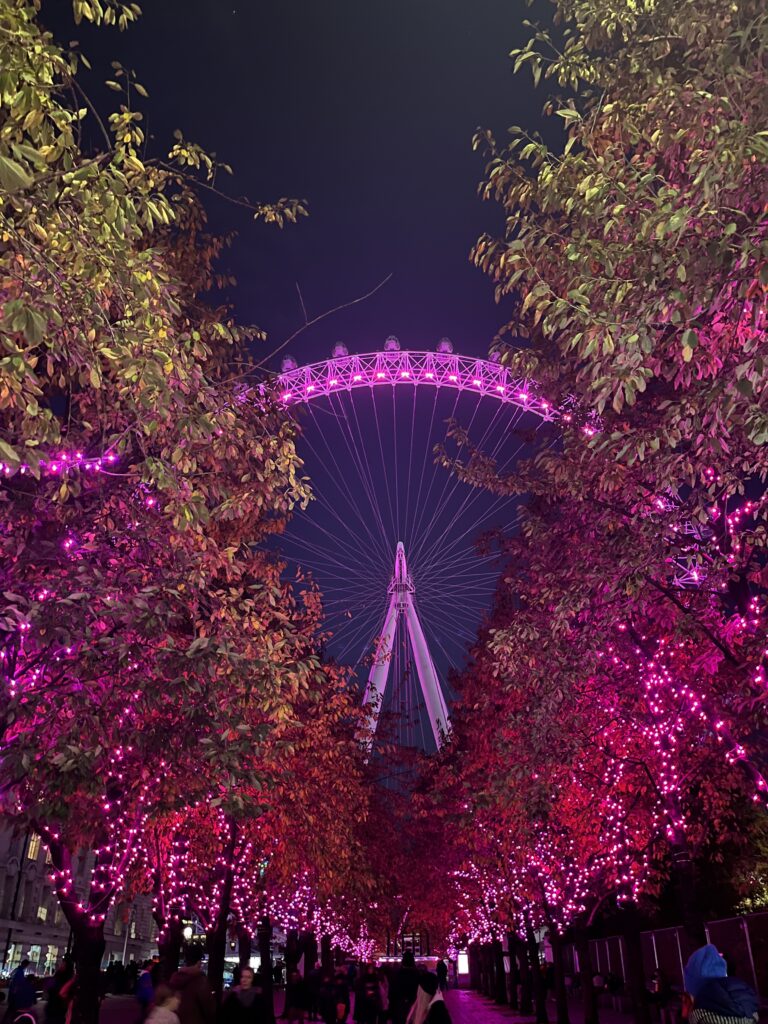 London Eye da Belvedere Road 