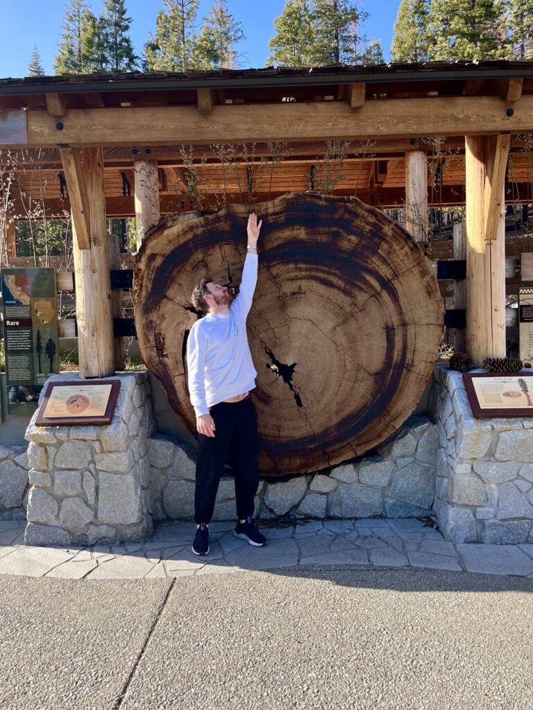 Yosemite National Park: cosa vedere in un giorno - mariposa 