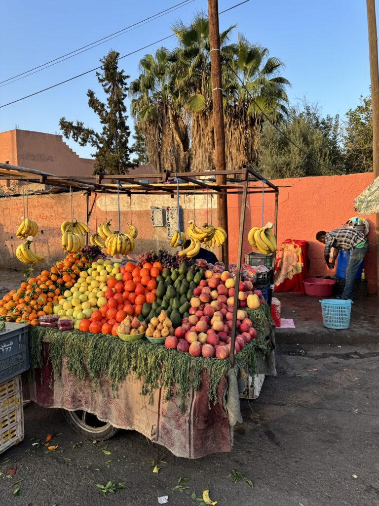 cosa sapere prima di partire per Marrakech